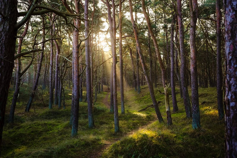 Connect with Nature