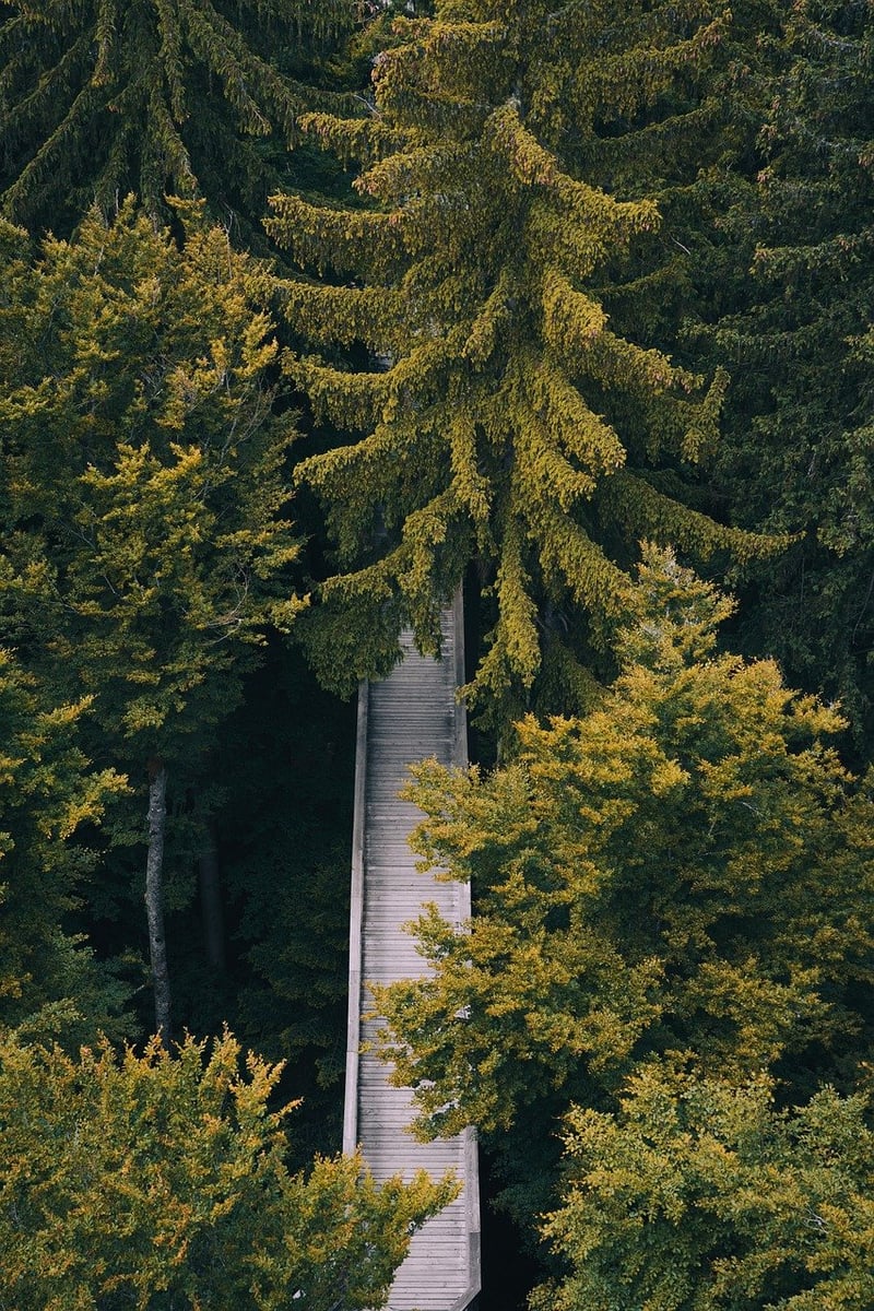 Nature Walks